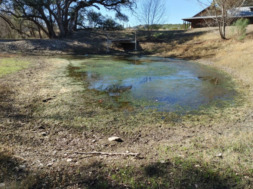 pond showing signs of a leak